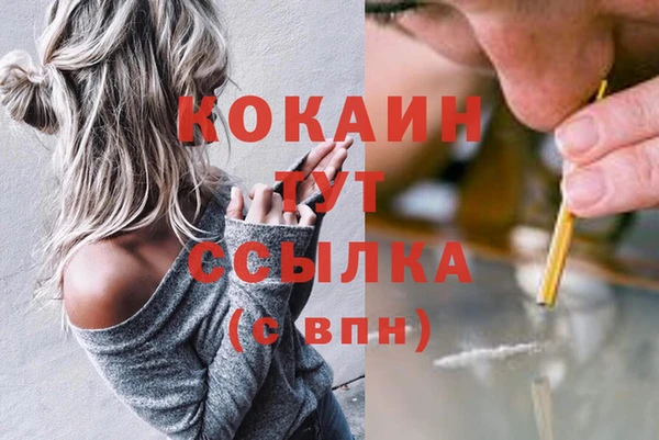 трава Инта