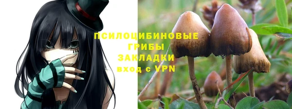 трава Инта