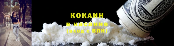 трава Инта