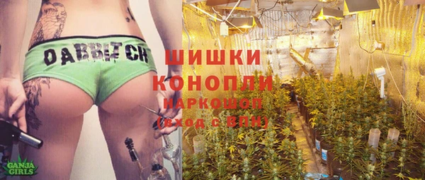 трава Инта
