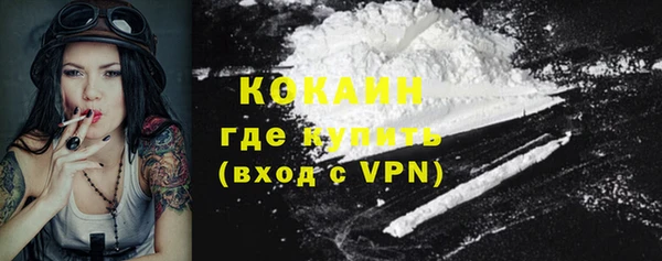 трава Инта