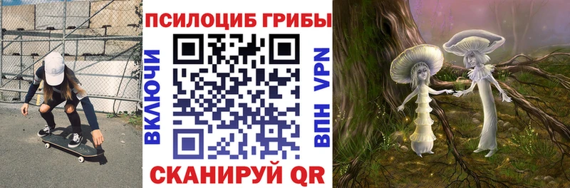 Галлюциногенные грибы мицелий  Купить закладки  Камбарка 